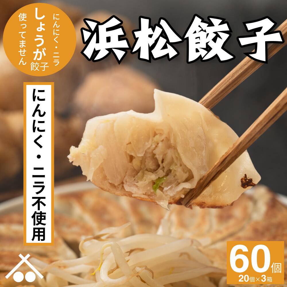 Nira Hamamatsu Gyoza