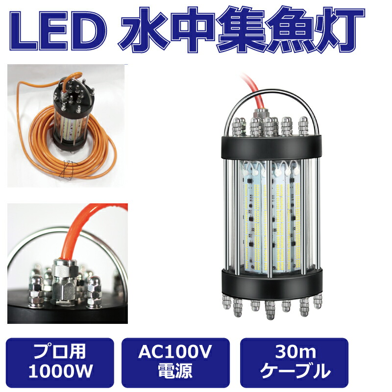 集魚灯 集魚ライト 水中集魚灯 1000W AC100V 30mケーブル LEDフィッシュライト イカ釣りシラス ウナギ 夜釣り 夜焚き 送料無料