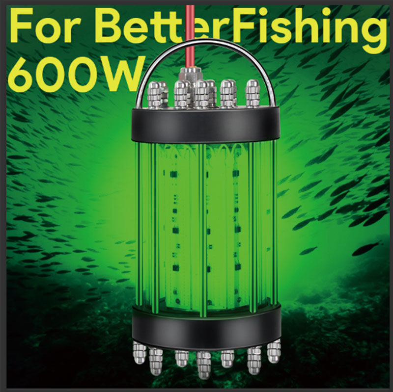 店舗良い 集魚灯 集魚ライト 水中集魚灯 600w Dc12v 30mケーブル Ledフィッシュライト イカ釣りシラス ウナギ 夜釣り 夜焚き 送料無料 Fucoa Cl