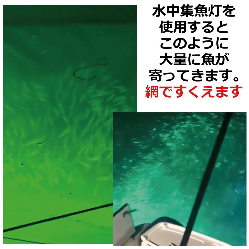集魚灯 集魚ライト 0w Dc12v Ledフィッシュライト イカ釣りシラス ウナギ 夜焚き 夜釣り 水中集魚灯 送料無料 最大62 オフ 水中 集魚灯
