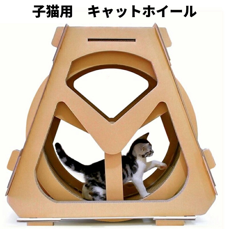 今月限定 特別大特価 キャッツ エクササイズホイール ｓサイズ 仔猫用 ダンボール ダイエット キャットウィール ランニングマシン Heimerdinger Japan 限定製作 Vancouverfamilymagazine Com