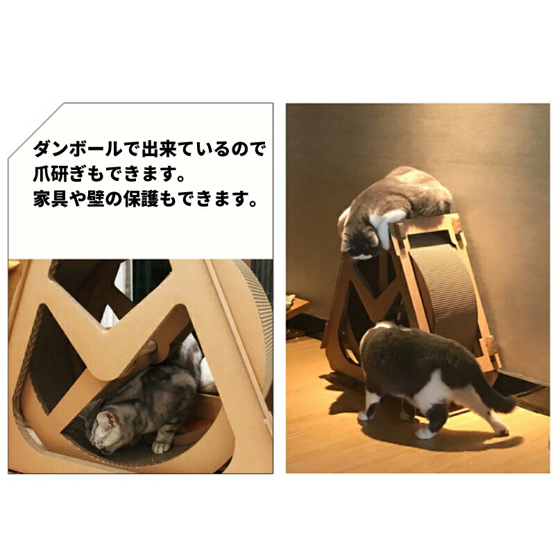 楽天市場 キャッツ エクササイズホイール ｓサイズ 仔猫用 ダンボール ダイエット キャットウィール ランニングマシン 送料無料 Heimerdinger Japan