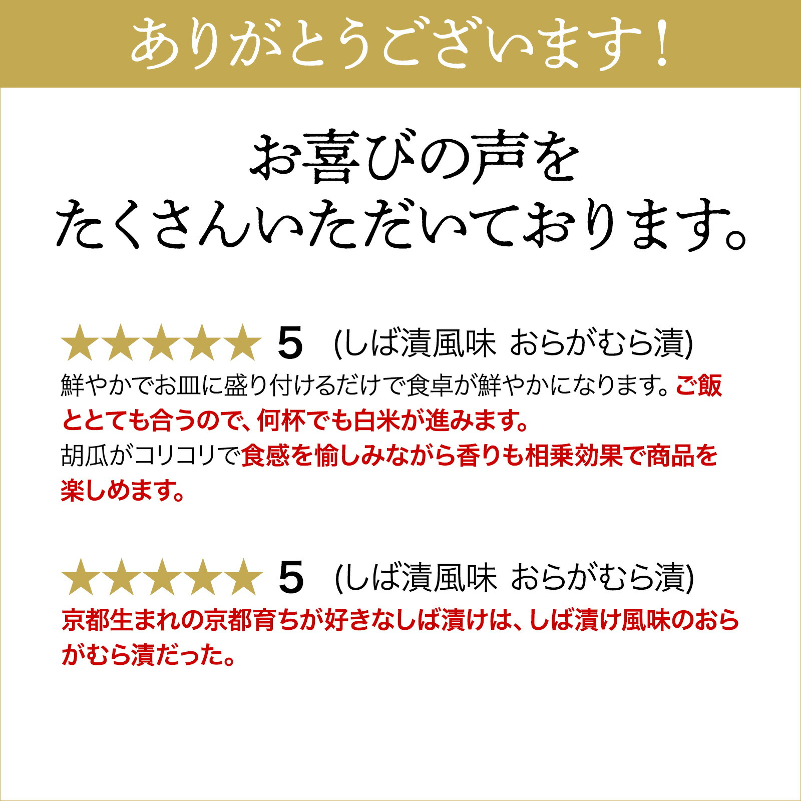 しば漬け風味おらがむら漬け10個箱入り