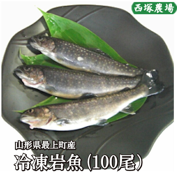 山形県産 冷凍岩魚 100匹（腹抜き) 　 焼き魚・揚げ物に最適な大きさ