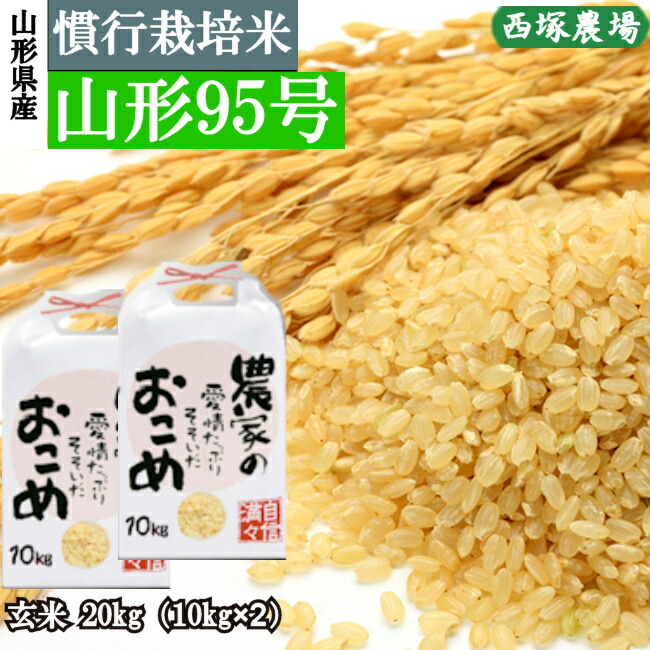 山形県産 慣行栽培米 山形95号 令和7年産 玄米 20kg｜株式会社西塚農場