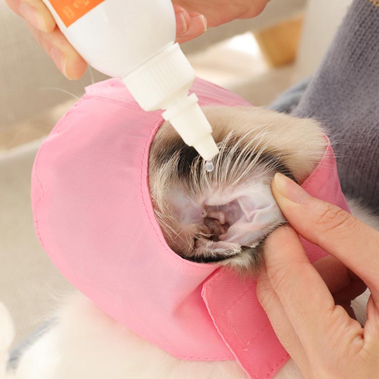 猫用マスク爪切り補助具爪切り猫用アイマスクキャットマズル口輪フェイスマスク保護マスク目隠し爪きり補助用マスク耳掃除噛み付き防止お手入れ品ペット用品介護ケア爪ケア用品