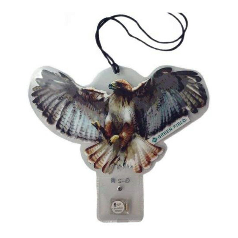 鷹 ejoy_4989586231304.jpg