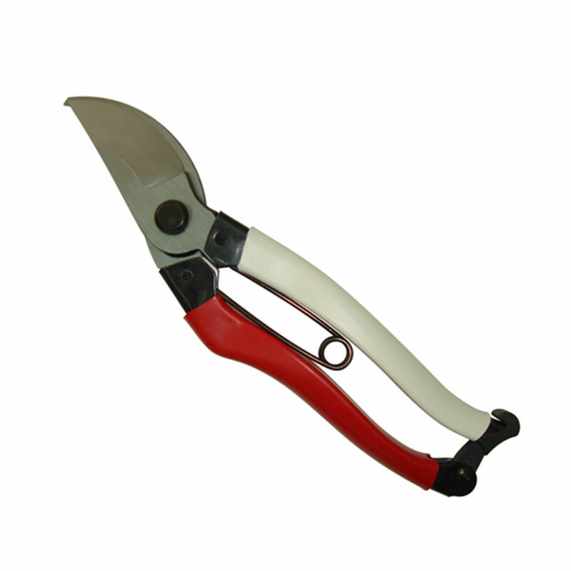 山採りバイカツツジ　梅2 H160cm W100cm Valleyhill 船匠 ハイパー 落とし込み 215 リミテッド オモリ