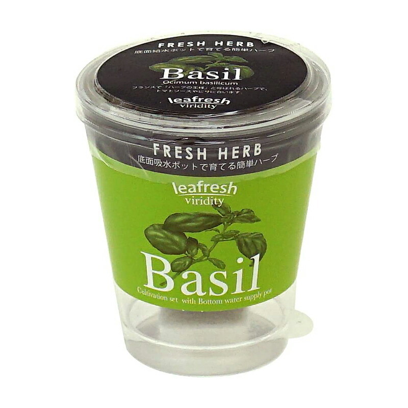 【楽天市場】聖新陶芸 Fresh Herb バジル GD36303 ハーブ栽培キット 4528757023883：スーパーメガホームセンター