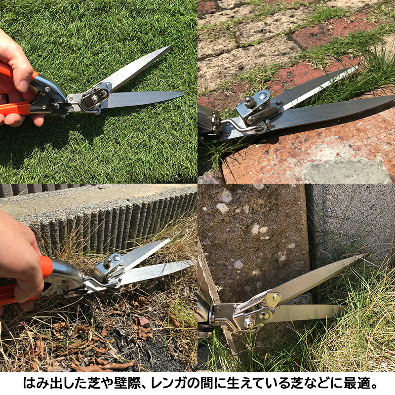 壮観芝刈りセッティング キンボシ ナイスバーディーモアー Gsb00n 大進 自転範式 ステインレス 芝はさみ Cannes Encheres Com
