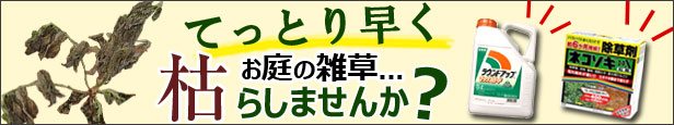 楽天市場】カンペハピオ 変成シリコンHM 300ml ホワイト 10本セット 4972910398132×10本 : スーパーメガホームセンター  ejoy