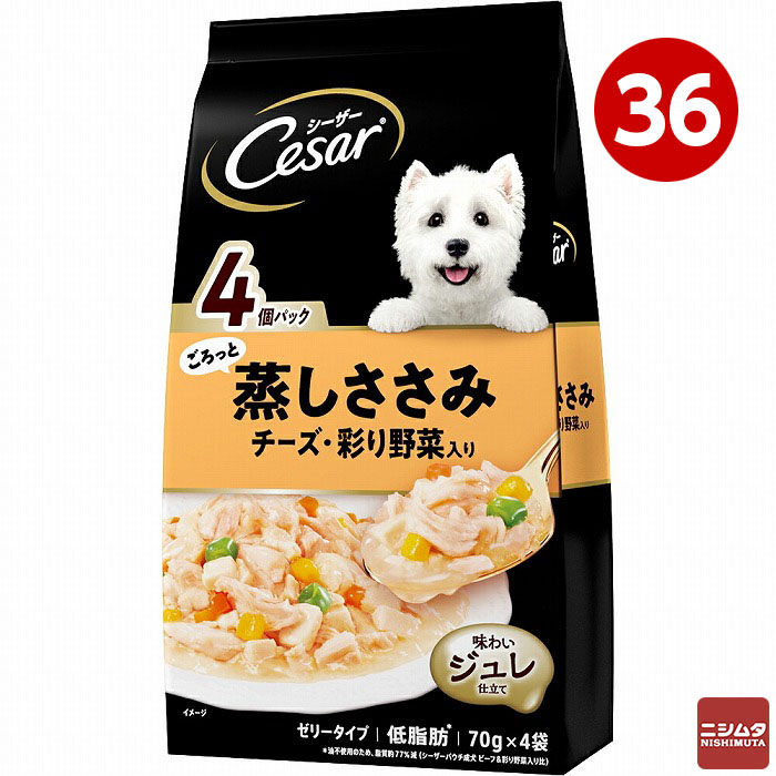 防災特集
