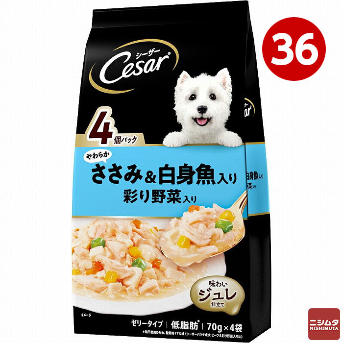 防災特集