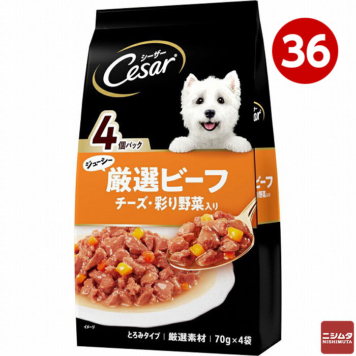 防災特集