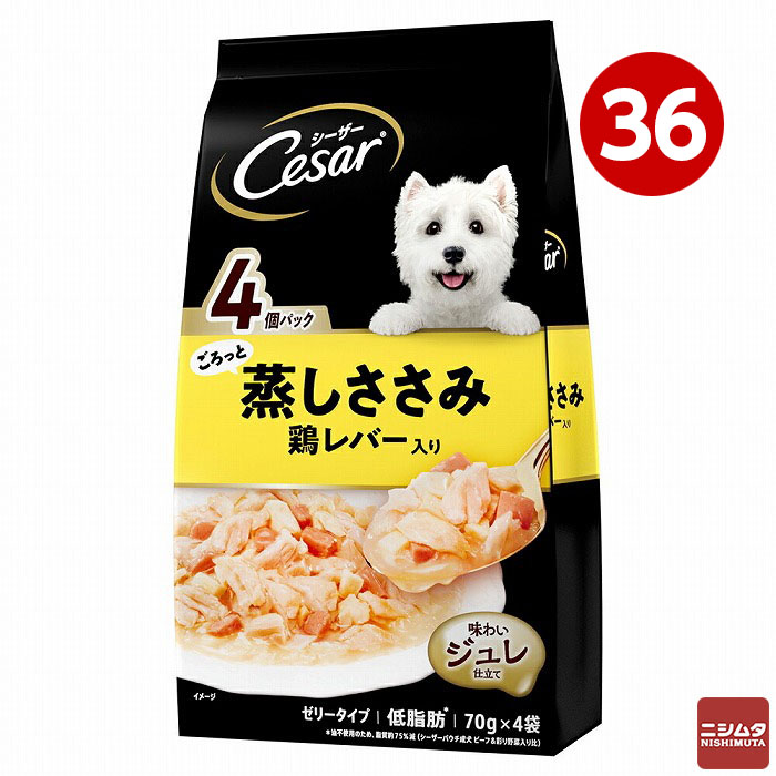 防災特集