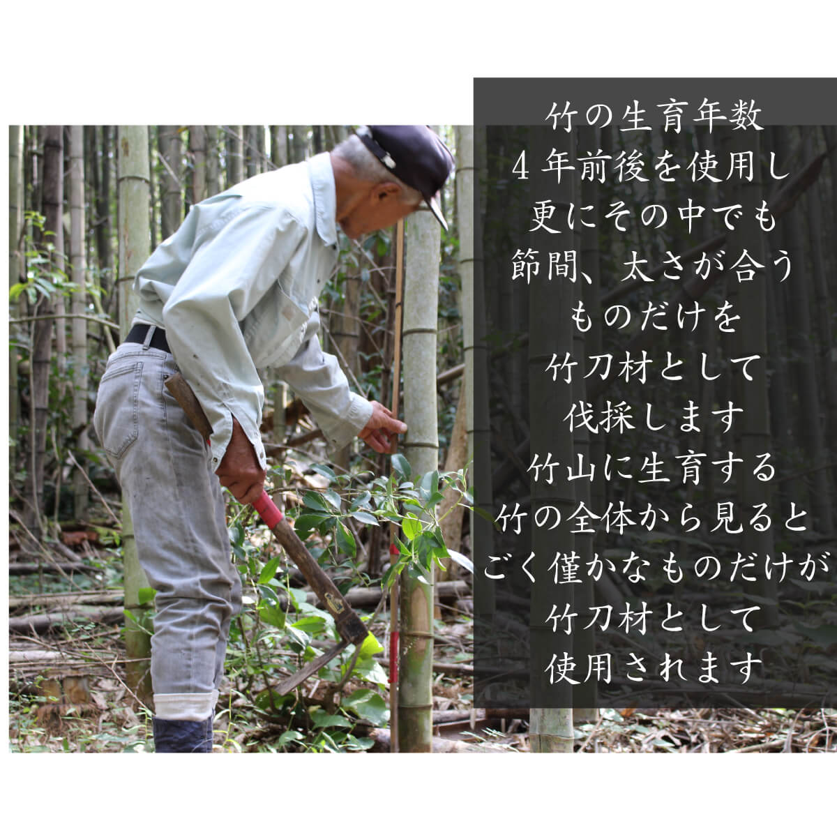 高質で安価 楽天市場 竹刀 誉 豊後材 直刀型 39 柄の太さ 左手 F25 F30 剣道 剣道具 Ssp 送料無料 西日本武道具 楽天市場店 海外最新 Secretoftheislands Com 高質で安価 楽天市場 竹刀 誉 豊後材 直刀型 39 柄の太さ 左手 F25 F30 剣道 剣道具 Ssp 送料無料 西日本武道具 楽天市場店 海外最新 Secretoftheislands Com