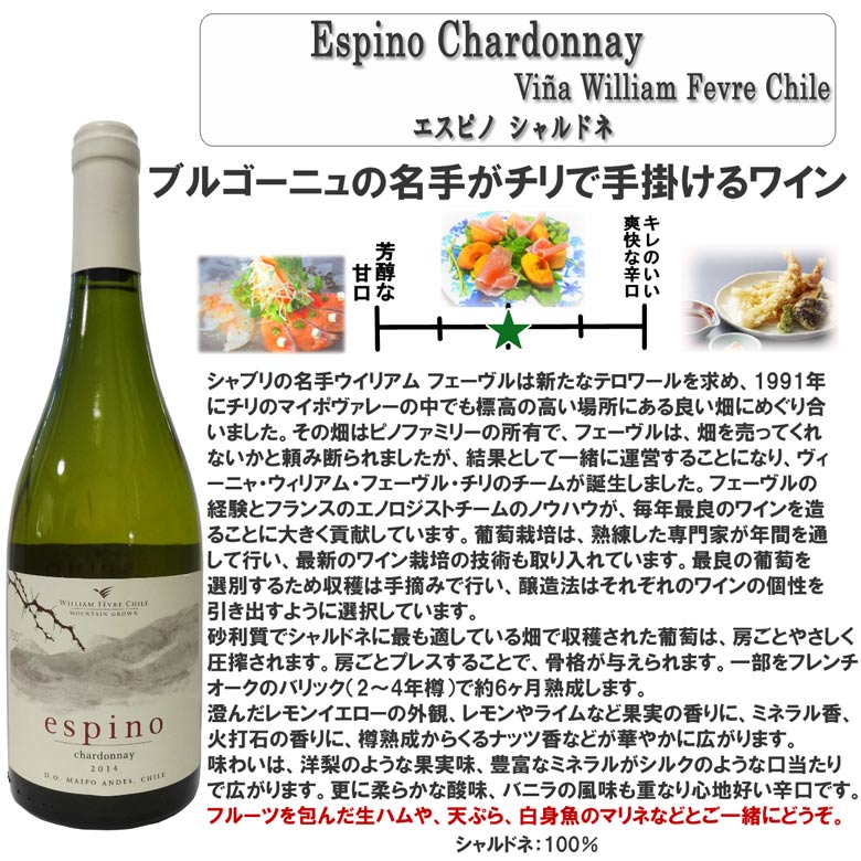ヴィーニャ・ウィリアムフェーブルチリエスピノシャルドネ【ヴィンテージは順次変わります】ワインwine