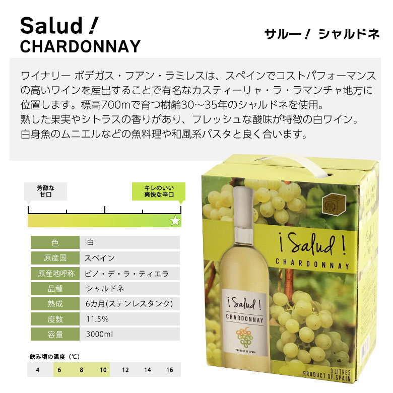 70％OFFアウトレット バッグインボックス 白ワイン 飲み比べ ４箱セット 白 スペイン チリ ワイン セット BIB 3000ml 3L×4種  wine BOX 送料無料 ギフト 御中元 12L whitesforracialequity.org