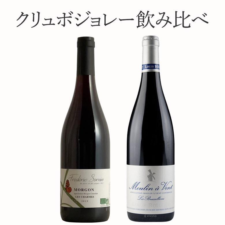 厳選 クリュボジョレー ２本セット ワイン セット wine ギフト 御歳暮 750ML 最大76%OFFクーポン