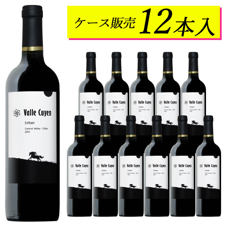 【ケース販売12本】ヴァイエ・クイエン シラー チリワイン【ヴィンテージは順次変わります】日本に届いた状態のカートンのままお届けします　ギフト 母の日 750ML｜ワイン館NISHIURA店