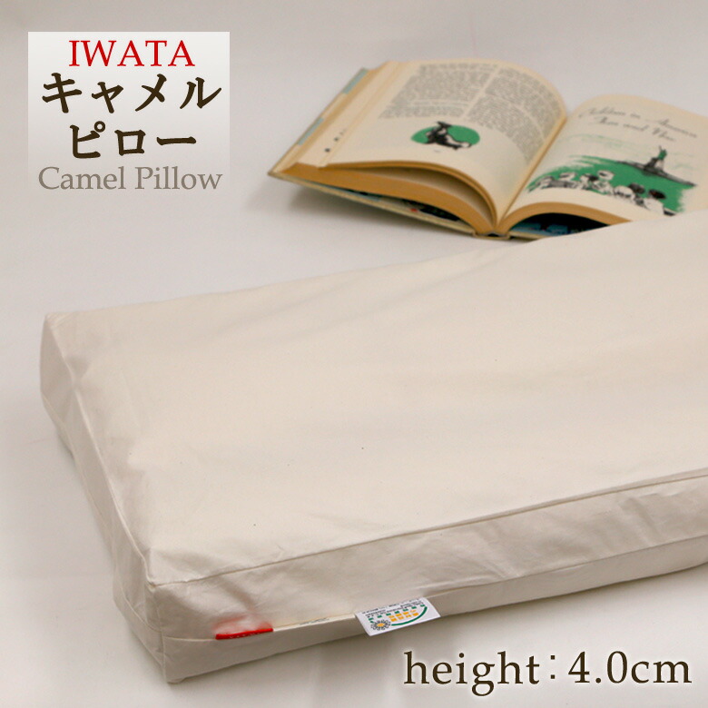 楽天市場】イワタ キャメル 枕 43×63cm ふつう 4cm 日本製 天然素材