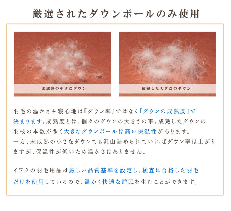 楽天市場 ポイント5倍 イワタ 羽毛カイロ Iwata 冬 ギフト あったかグッズ 節電 エコ 温感 湯たんぽ よりも軽くて手軽なダウン 冷え性対策 水洗いok 繰り返し使える カイロ 腰当て 腹巻 枕とマットレスの店布団のわたや館