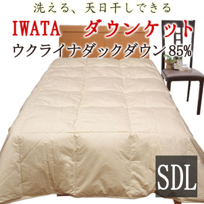 イワタ 洗える 落ちこむ毛布 セミダブルロング 170×210珊 ウクライナダックダウン85％ 岩田 IWATA 寝具 肌掛け布団 肌布団 掛け布団 綿羽掛け布団 綿羽布団 綿羽肌掛け 夏用掛け布団 夏 秋 春 DE-KS87-222