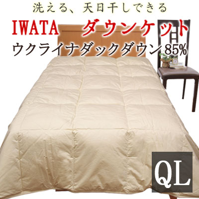 イワタ 洗える 落ちこむ毛布 皇后陛下ロング 210×210珊 ウクライナダックダウン85％ 岩田 IWATA 寝具 肌掛け布団 肌布団 掛け布団 綿羽掛け布団 綿羽布団 綿羽肌掛け 夏用掛け布団 夏 秋 春 DE-KS87-222