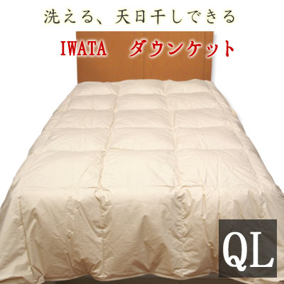 イワタ 洗える ダウンケット クイーンロング 210&times;210cm ホワイトダックダウン80％ 岩田 IWATA 寝具 肌掛け布団 肌布団 掛け布団 羽毛掛け布団 羽毛布団 羽毛肌掛け DE-KS26-300｜枕とマットレスの店布団のわたや館