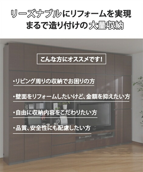 リビング格納 テレビジョン櫓 日本製 大学容積な収納バイタリティの壁面収納双書 省庁置き60cmレンジ ニッセン Nissen Colegiovictorhugo Cl