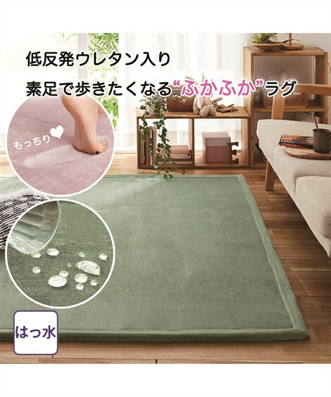 楽天市場】【全品対象クーポン配布中☆先着100名 50％OFF☆先着3,000名