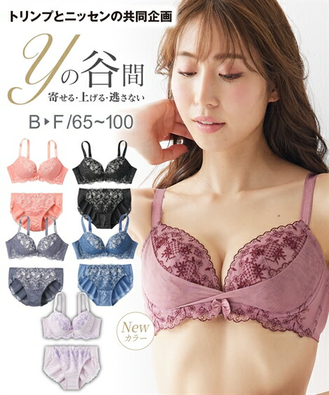 ブラジャー ショーツ セット 大きいサイズ レディース Yの谷間をつくる ( トリンプ ) グレイッシュブルー〜黒 E85_LL E90_3L E95_4L F85_LL F90_3L ニッセン nissen