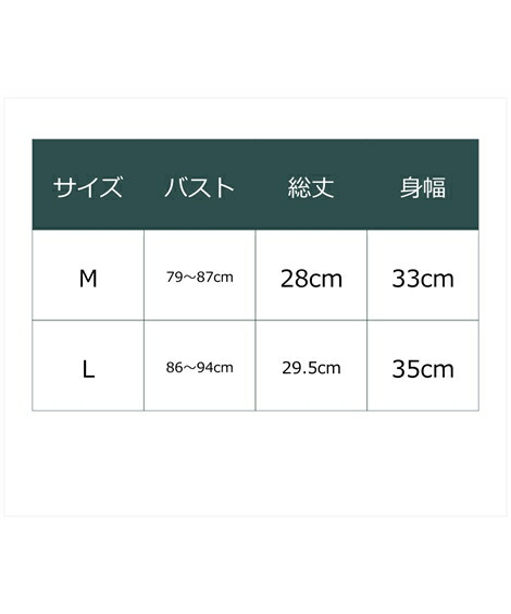 M L スポーツインナー レディース Sale 98 Off Addelm アドエルム Women S ワークアウト ブラ Atsugi Nissen ニッセン ブラック