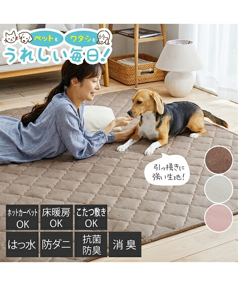 ＼百貨店SALE／24第四次元剪断応力無償性★好いたらしいブラジャーがお得！
