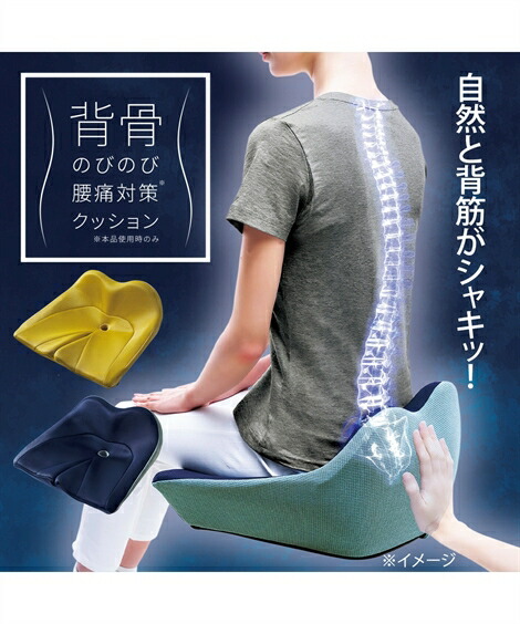 背骨のびのび腰痛対策 クッション ネイビー/マスタード ニッセン nissen