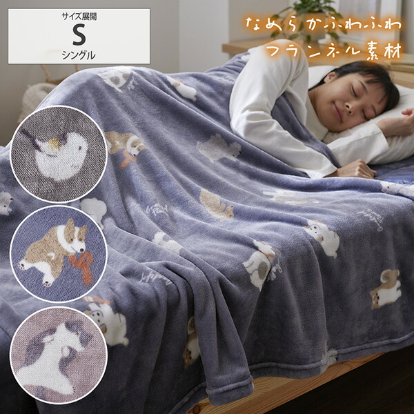 楽天市場】ジェラートピケ スリープ DOG柄 プリント毛布 ジェラピケ