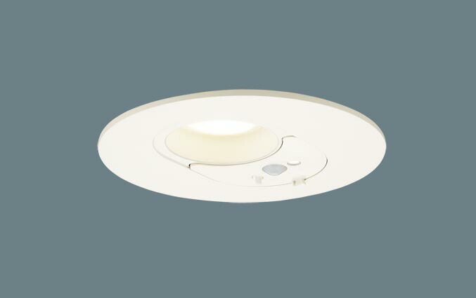 落ち込むともし火 FreePa明るさ検出器付 LGDC1203LLE1 室内用便器灯(60形)鳴りわたる(白熱電球色)(灯し火工事止むを得ず)パナソニックPanasonic