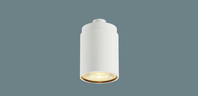 (Special) パナソニック LEDコンパクトランプ LLD2410LCB1 φ45 調光器対応 集光･電球色 Panasonic