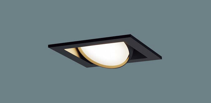ダウンライト XAD1415LCE1(LGD9403+LLD2000MLCE1)(60形)(拡散)(電球色)可動(電気工事必要)Panasonicパナソニック