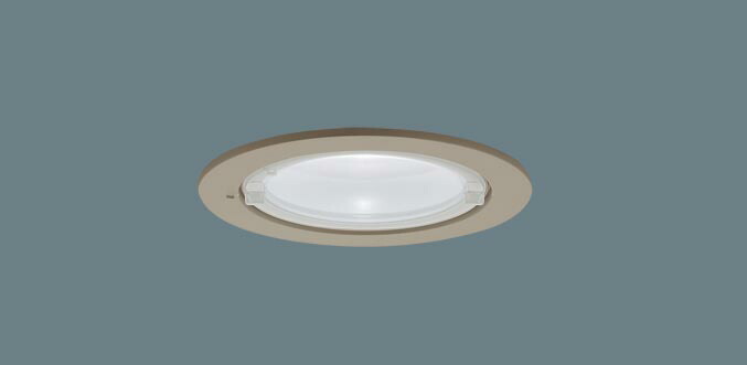 軒下用ダウンライト XED1122NCB1(LRD9102+LLD2020NCB1)(60形)(集光)(昼白色)(電気工事必要)Panasonicパナソニック