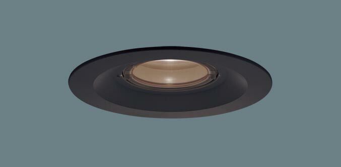 軒下用ダウンライト XED1221VCB1(LRD9201+LLD2020VCB1)(60形)(集光)(温白色)(電気工事必要)Panasonicパナソニック