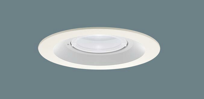 軒下用ダウンライト XED3220NCE1(LRD9200+LLD3020NCE1)(80形)(集光)(昼白色)(電気工事必要)Panasonicパナソニック