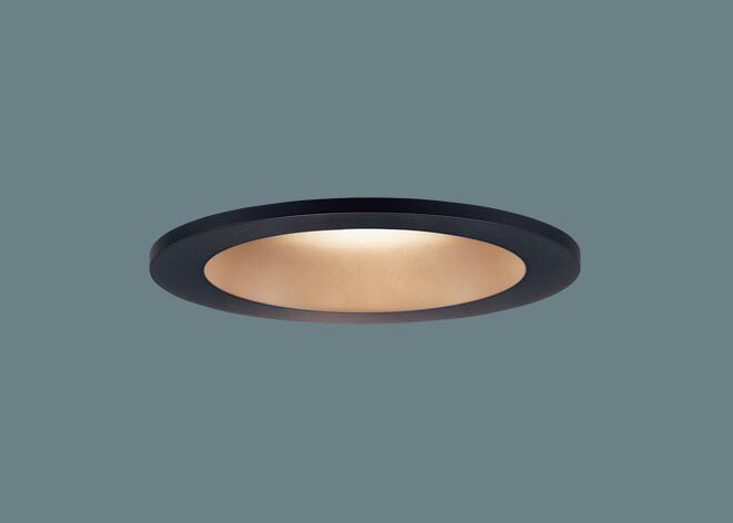ダウンライト LGD3102LU1 (100形)(調色)拡散(電気工事必要)パナソニックPanasonic