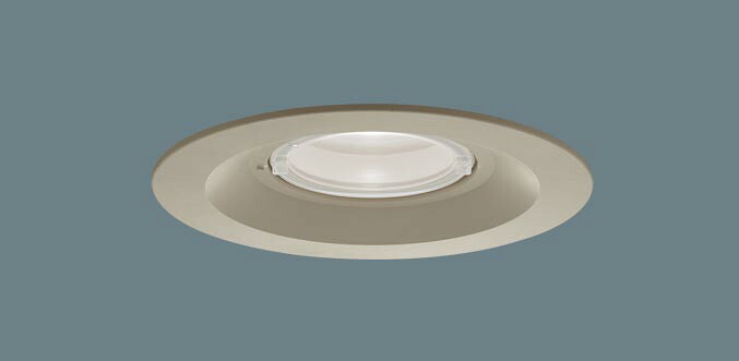 軒下用ダウンライト XED1222VCB1(LRD9202+LLD2020VCB1)(60形)(集光)(温白色)(電気工事必要)Panasonicパナソニック