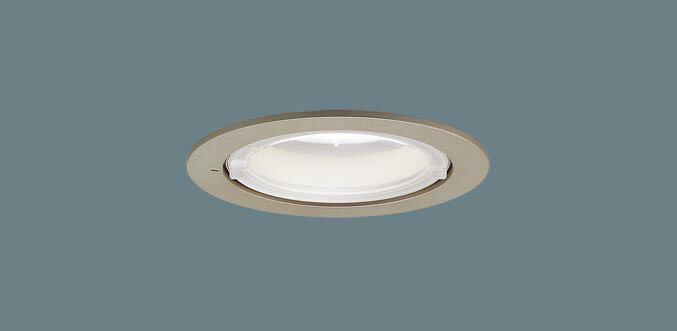 軒下用ダウンライト XED3102VCE1(LRD9102+LLD4000VCE1)(80形)(拡散)(温白色)(電気工事必要)Panasonicパナソニック