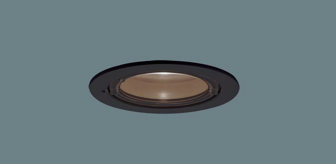 軒下用ダウンライト XED3121VCB1(LRD9101+LLD3020VCB1)(80形)(集光)(温白色)(電気工事必要)Panasonicパナソニック