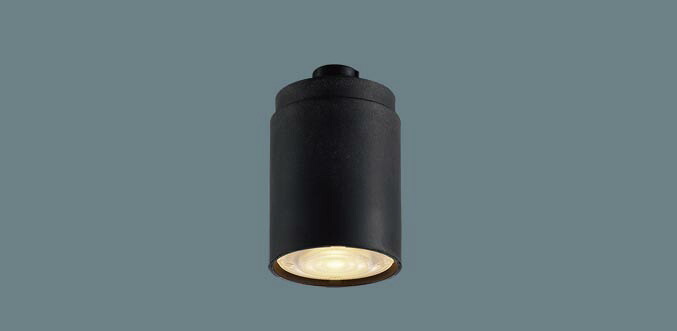 (Special) パナソニック LEDコンパクトランプ LLD2411LCB1 φ45 調光器対応 集光･電球色 Panasonic