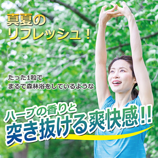 エキナケアのど飴 15粒入 5袋セット 松浦薬業 送料無料 | ノン