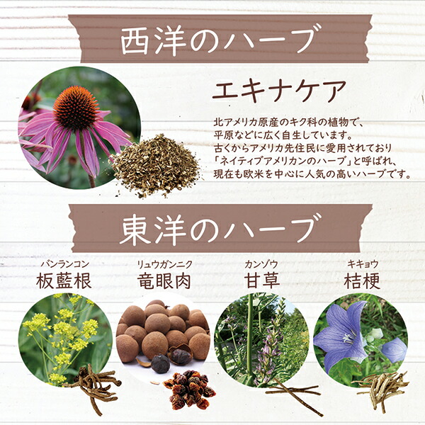 のどあめさん専用 楽天市場】エキナケアのど飴 15粒入 10袋セット 松浦薬業 送料