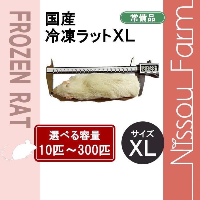 楽天市場】国産冷凍マウス ファジーL 即日発送 同梱可 選べる容量 10匹